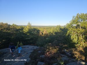 A Year At The Roof Of Wrentham